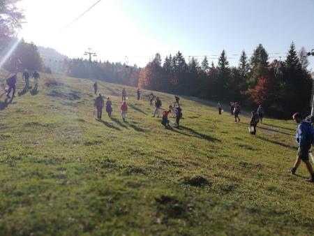 Čiščenje smučišča na Veliki planini 1
